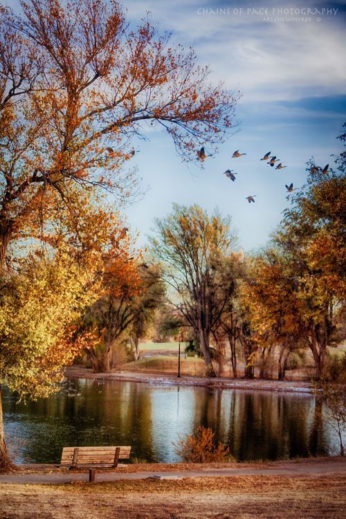 Outdoor Gathering Space